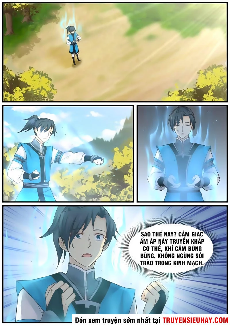 Võ Luyện Đỉnh Phong Chapter 20 - Trang 4