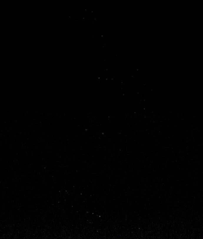 Đệ Nhất Võ Sư, Baek Cao Thủ Chapter 81 - Trang 4