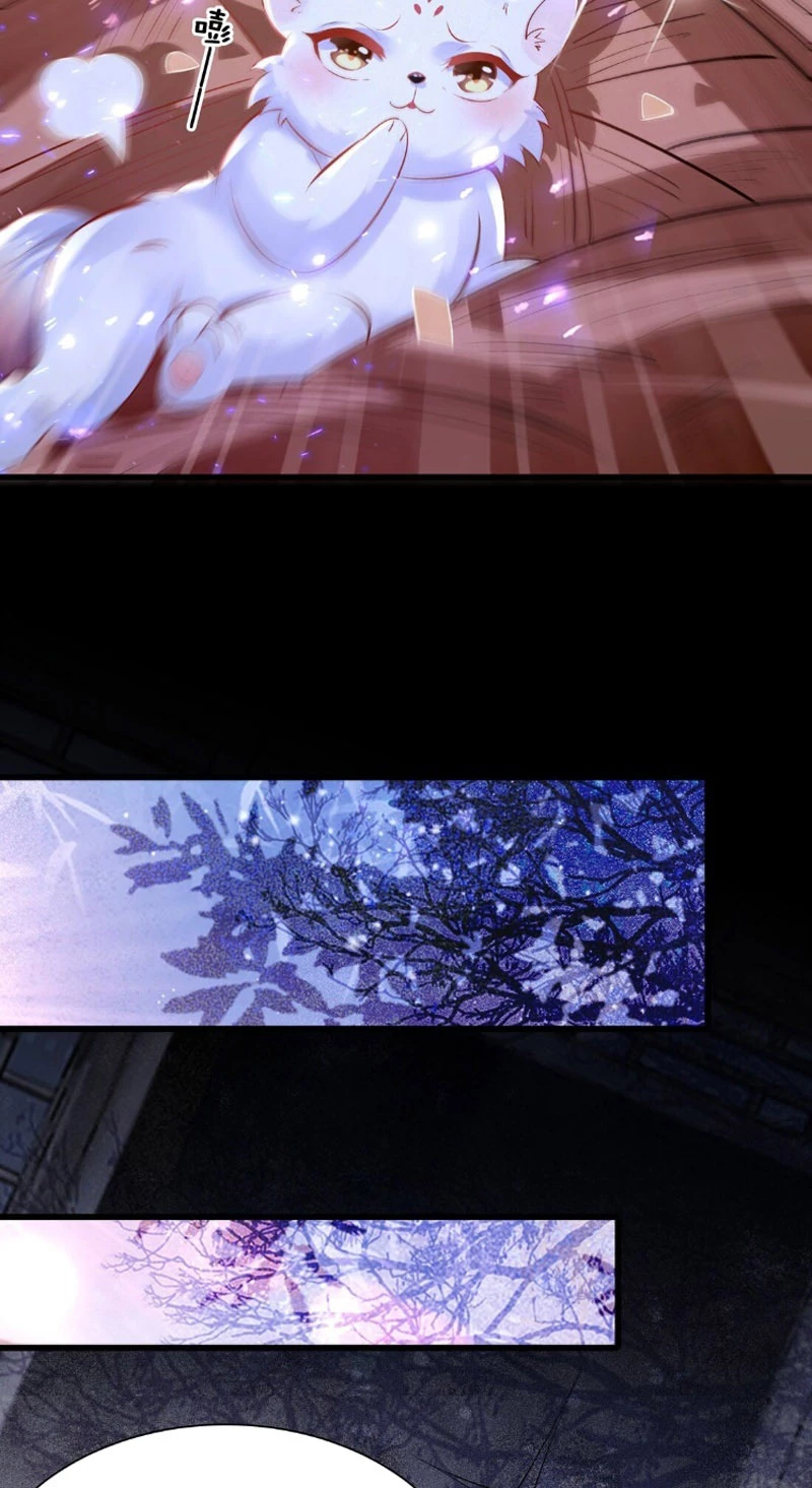 Ta Thực Sự Không Muốn Làm Thần Tiên Chapter 7 - Trang 4