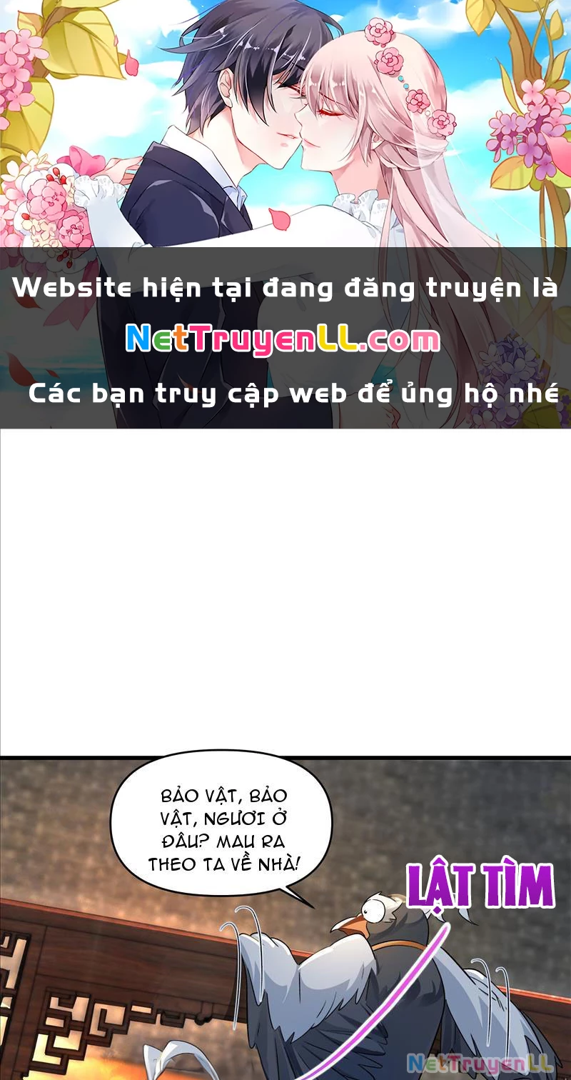 Ta Thực Sự Không Muốn Làm Thần Tiên Chapter 8 - Trang 4