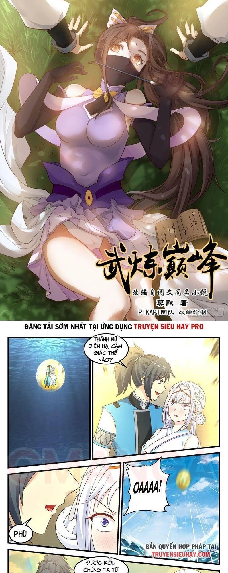 Võ Luyện Đỉnh Phong Chapter 708 - Trang 4