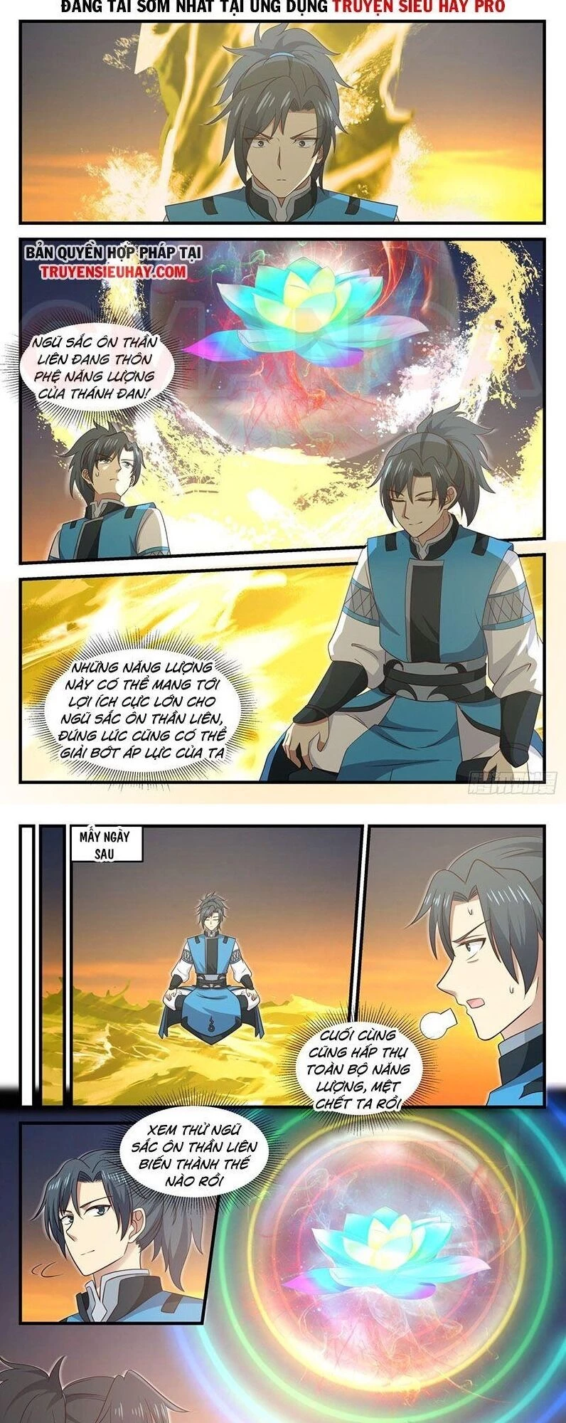 Võ Luyện Đỉnh Phong Chapter 708 - Trang 4