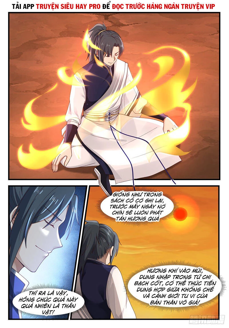 Võ Luyện Đỉnh Phong Chapter 1121 - Trang 4