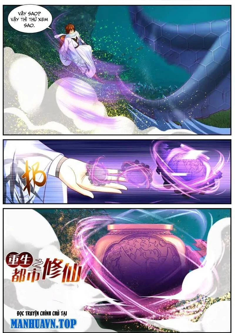 Trọng Sinh Đô Thị Tu Tiên Chapter 910 - Trang 4