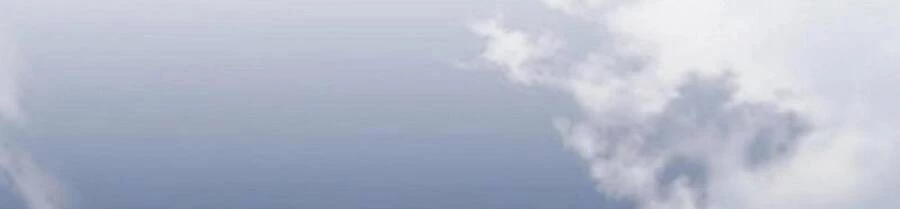 Đại Quản Gia Là Ma Hoàng Chapter 375 - Trang 4