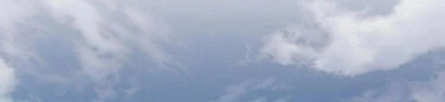 Đại Quản Gia Là Ma Hoàng Chapter 375 - Trang 4