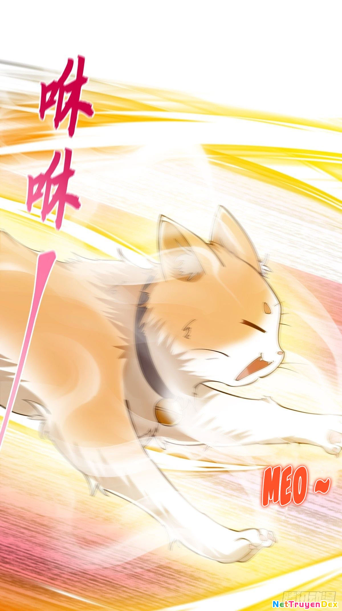 Ta Xuyên Không Với Max Điểm Mị Lực Chapter 17 - Trang 3