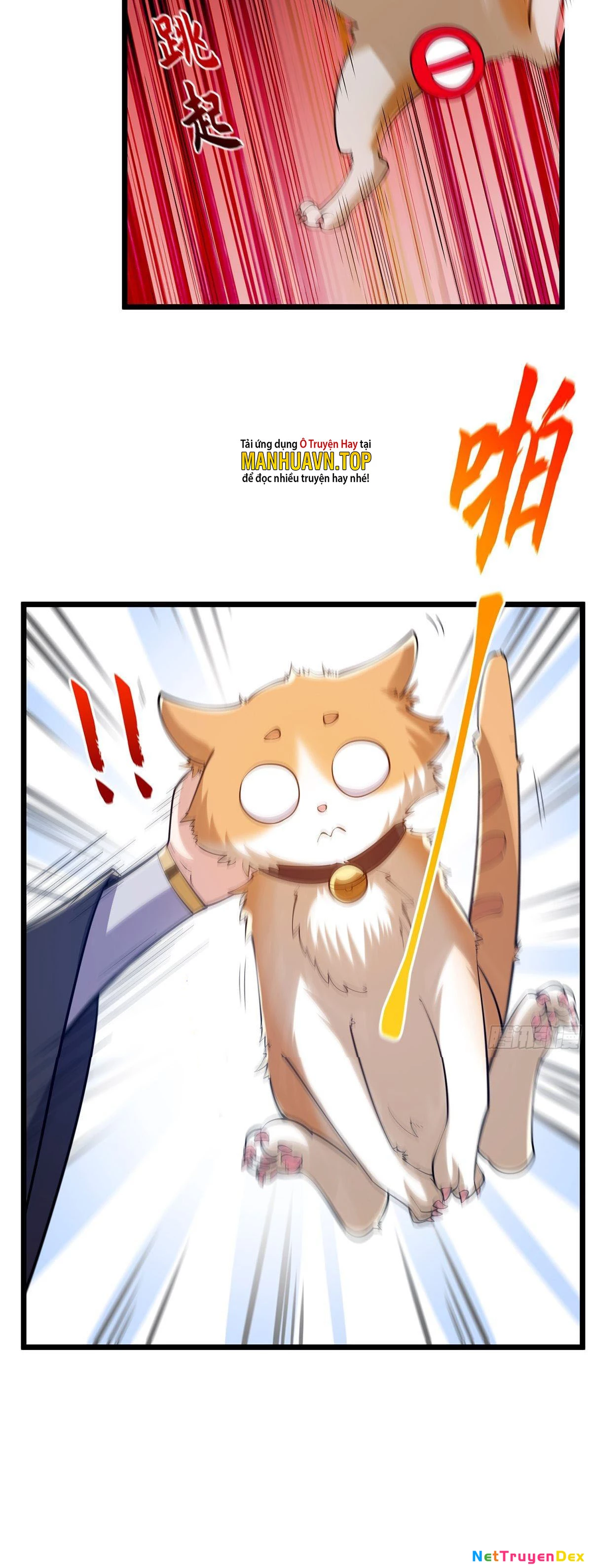 Ta Xuyên Không Với Max Điểm Mị Lực Chapter 17 - Trang 3