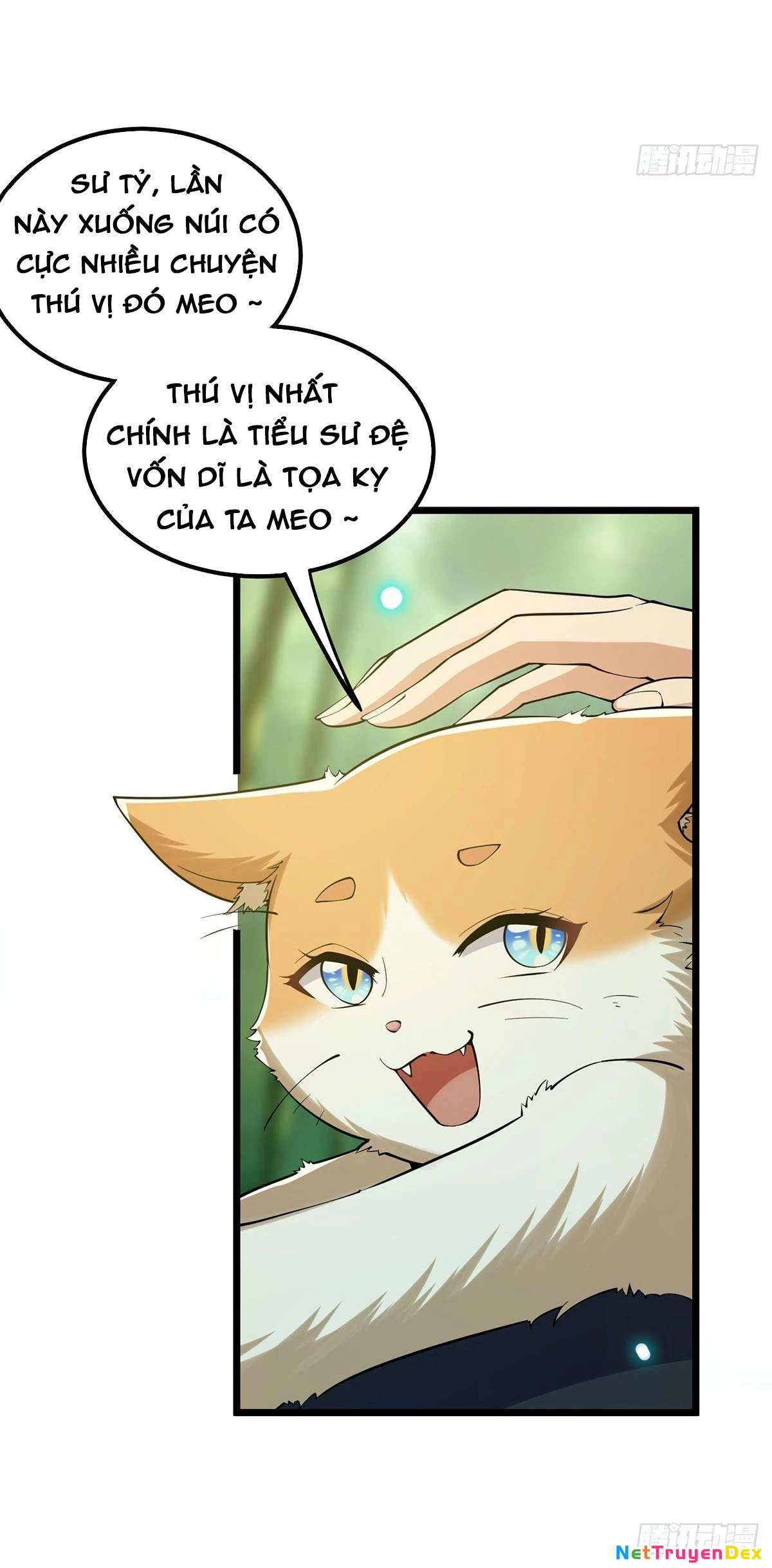 Ta Xuyên Không Với Max Điểm Mị Lực Chapter 17 - Trang 3