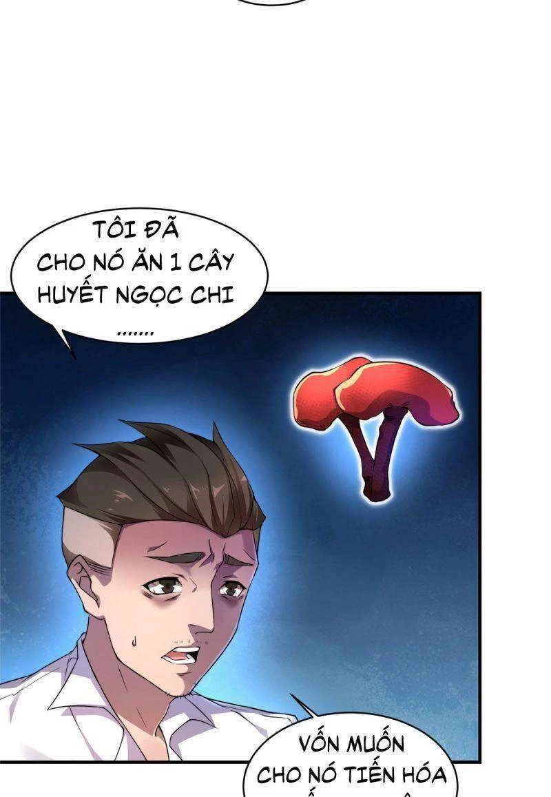 Thần Sủng Tiến Hóa Chapter 11 - Trang 4