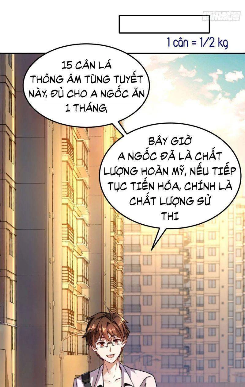 Thần Sủng Tiến Hóa Chapter 12 - Trang 4
