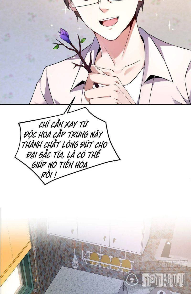 Thần Sủng Tiến Hóa Chapter 12 - Trang 4