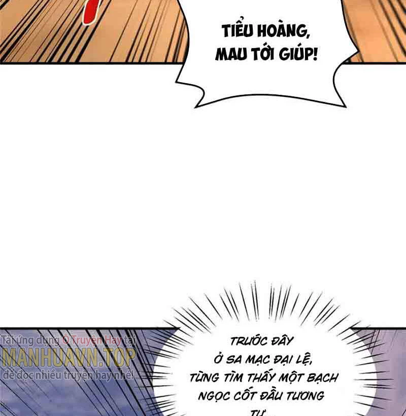 Thần Sủng Tiến Hóa Chapter 156 - Trang 4