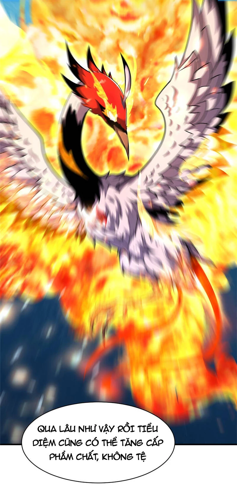 Thần Sủng Tiến Hóa Chapter 167 - Trang 4