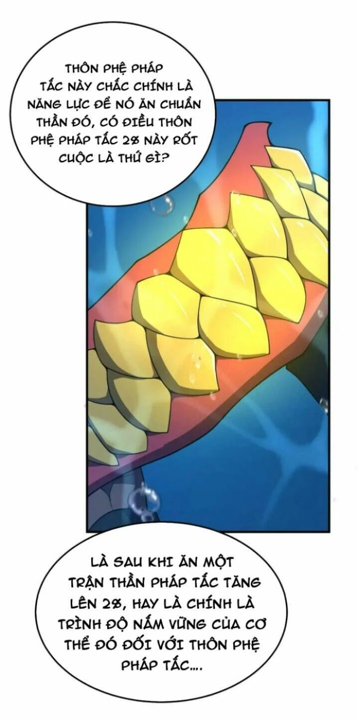 Thần Sủng Tiến Hóa Chapter 208 - Trang 4