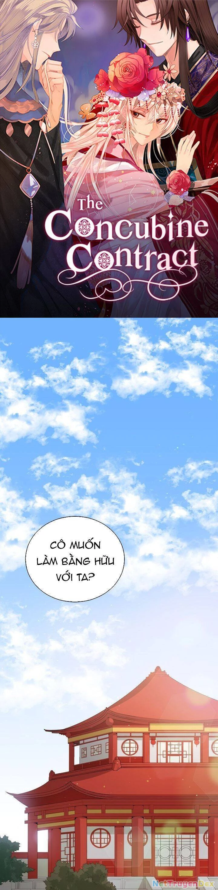 Ái Phi, Dao Của Nàng Rơi Rồi Chapter 62 - Trang 4