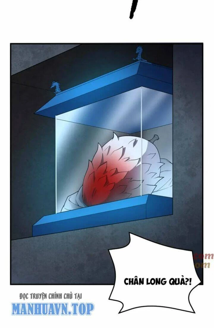 Thần Sủng Tiến Hóa Chapter 230 - Trang 4
