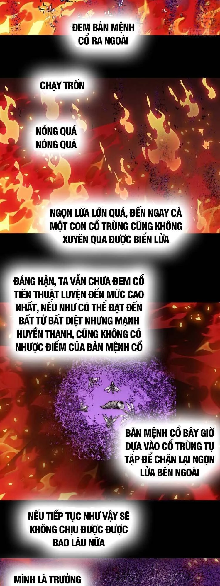 Ta Có Một Sơn Trại Chapter 521 - Trang 4