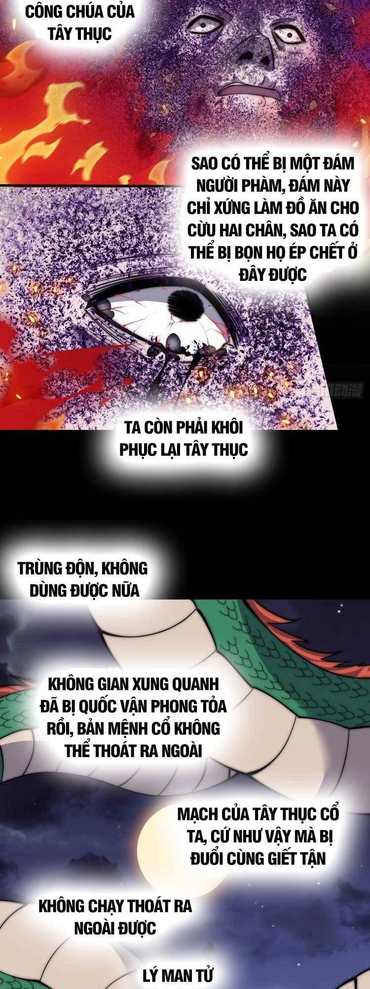 Ta Có Một Sơn Trại Chapter 521 - Trang 4