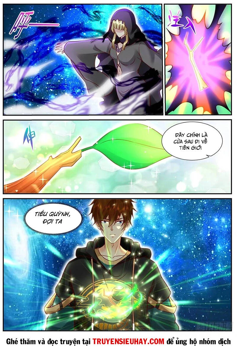Trọng Sinh Đô Thị Tu Tiên Chapter 926 - Trang 4