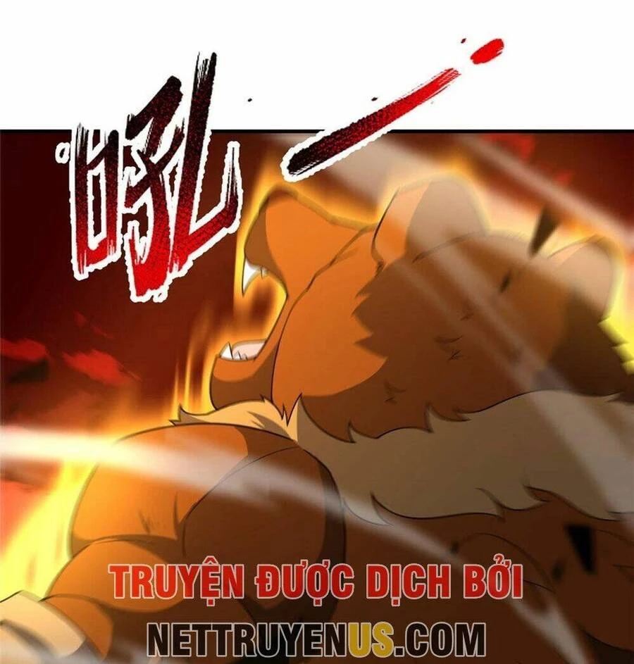 Thần Sủng Tiến Hóa Chapter 239 - Trang 4