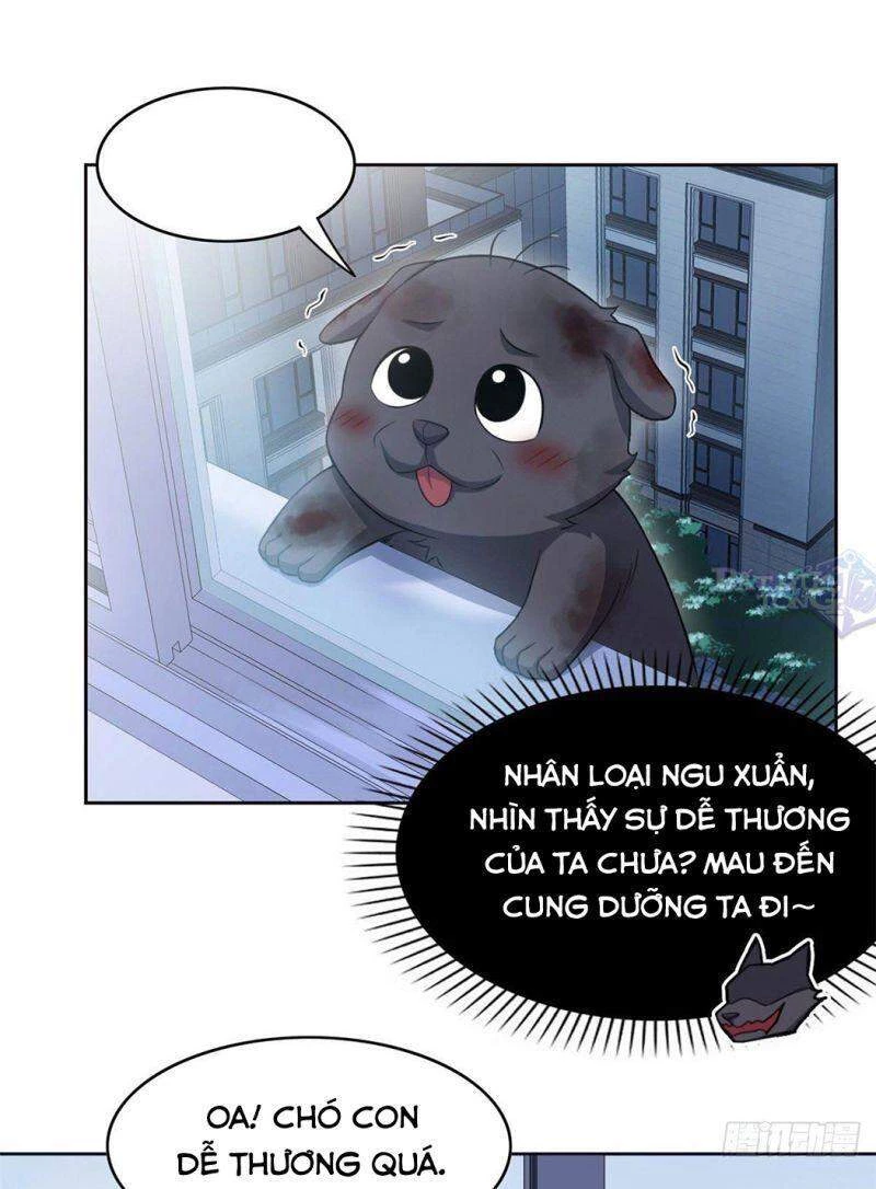 Cường Giả Đến Từ Trại Tâm Thần Chapter 21 - Trang 4