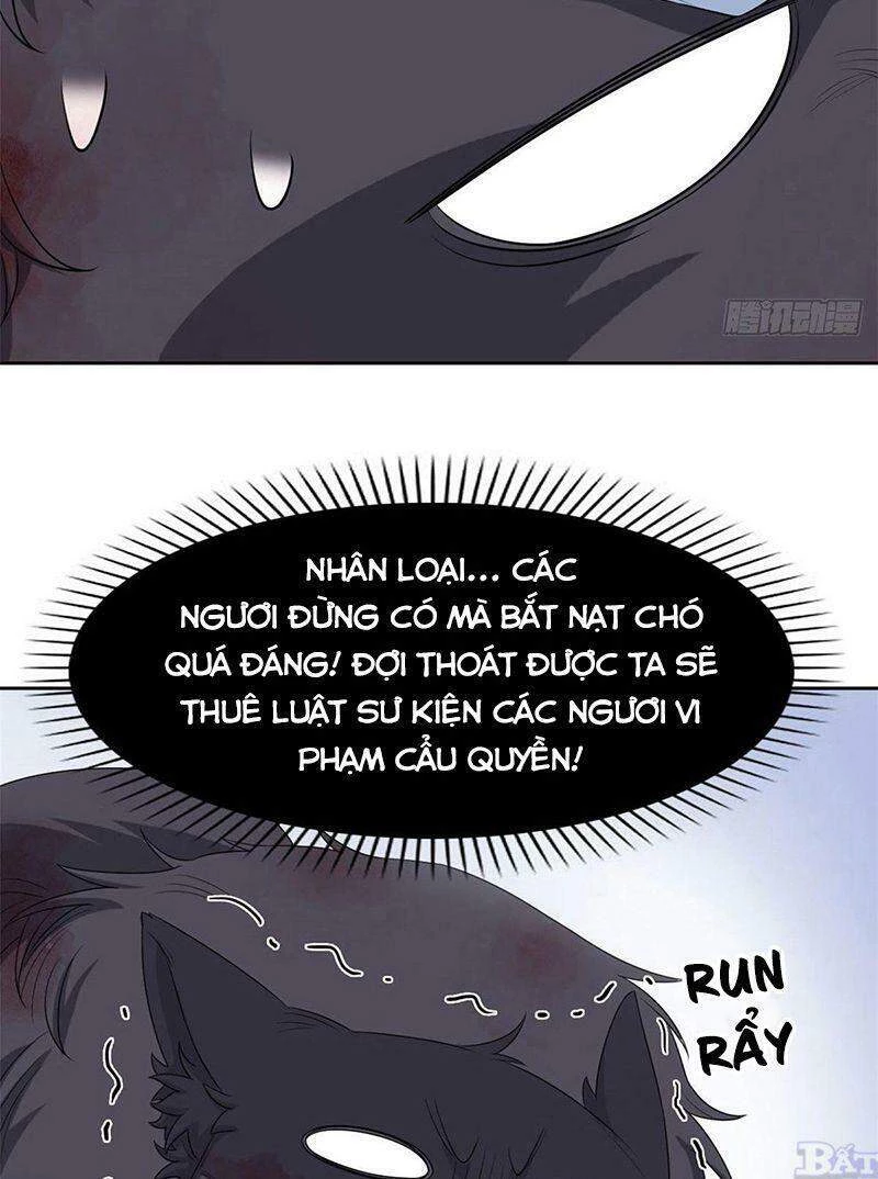 Cường Giả Đến Từ Trại Tâm Thần Chapter 23 - Trang 4