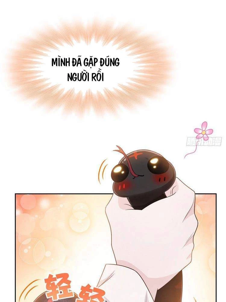 Cường Giả Đến Từ Trại Tâm Thần Chapter 32 - Trang 4