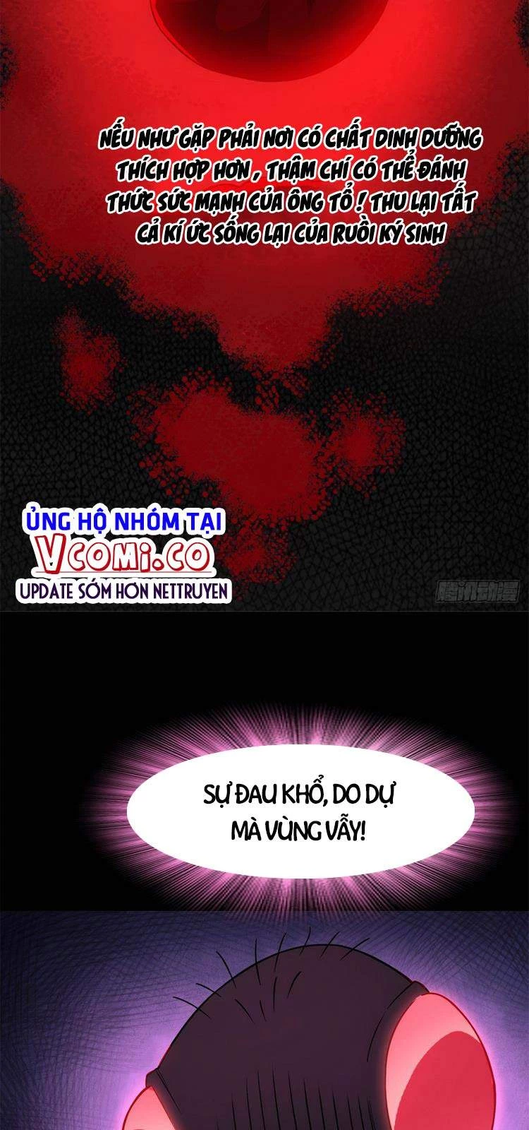 Cường Giả Đến Từ Trại Tâm Thần Chapter 46 - Trang 4