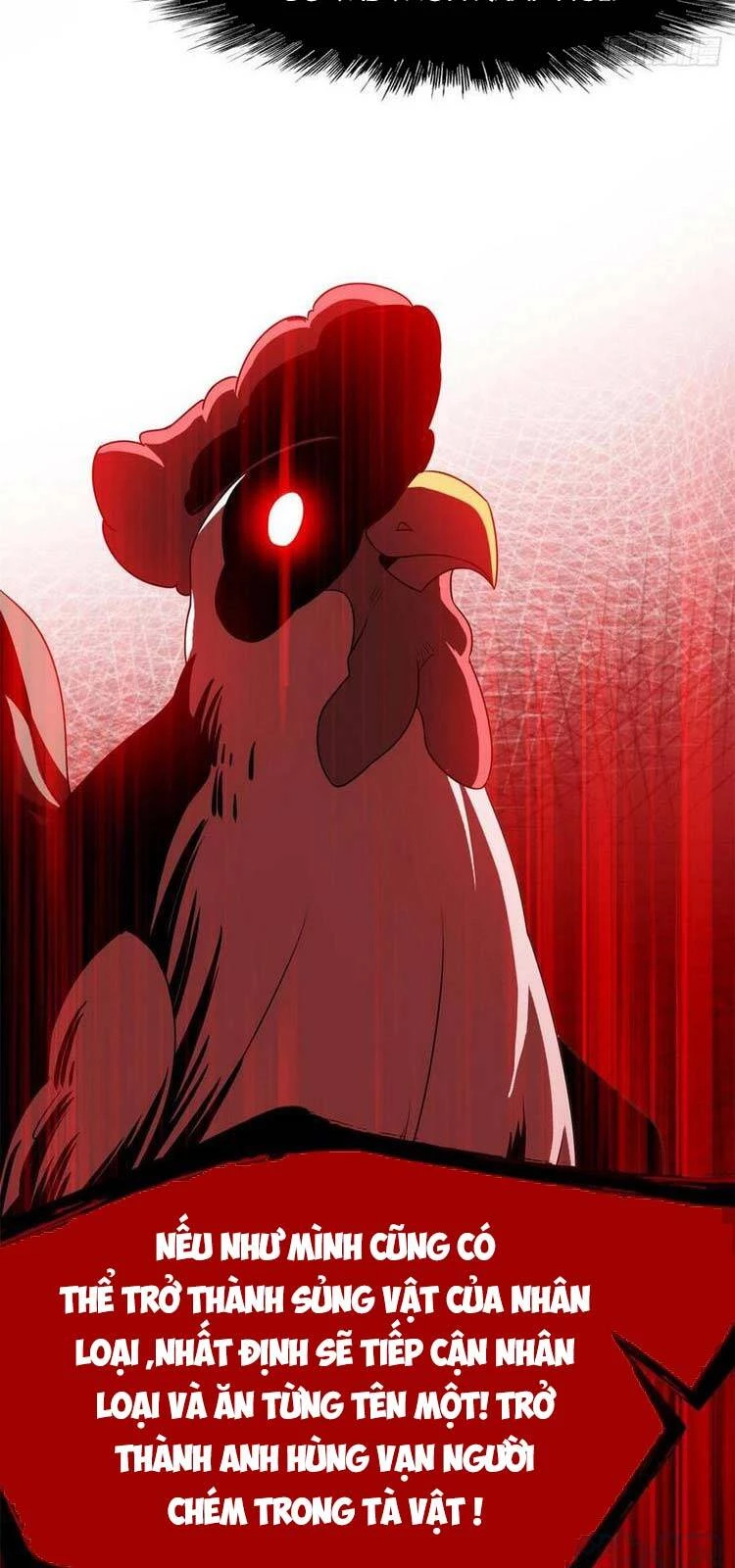 Cường Giả Đến Từ Trại Tâm Thần Chapter 72 - Trang 4