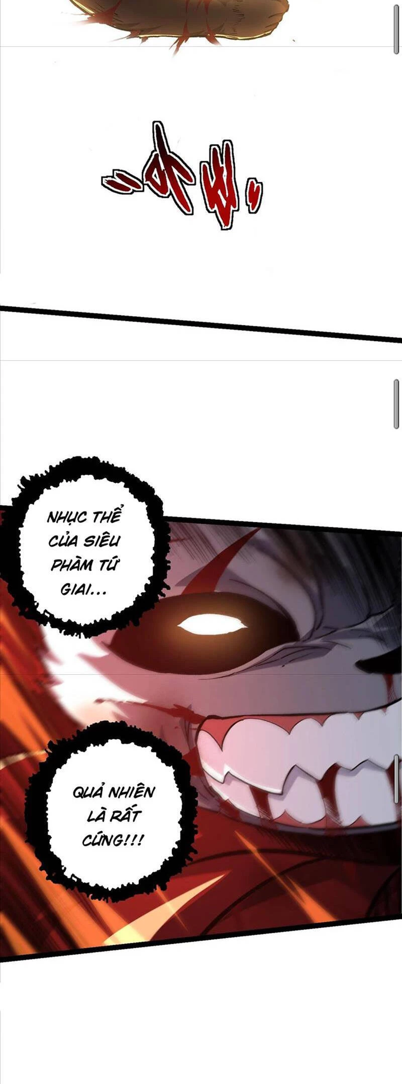 Chuyển Sinh Thành Liễu Đột Biến Chapter 118 - Trang 4