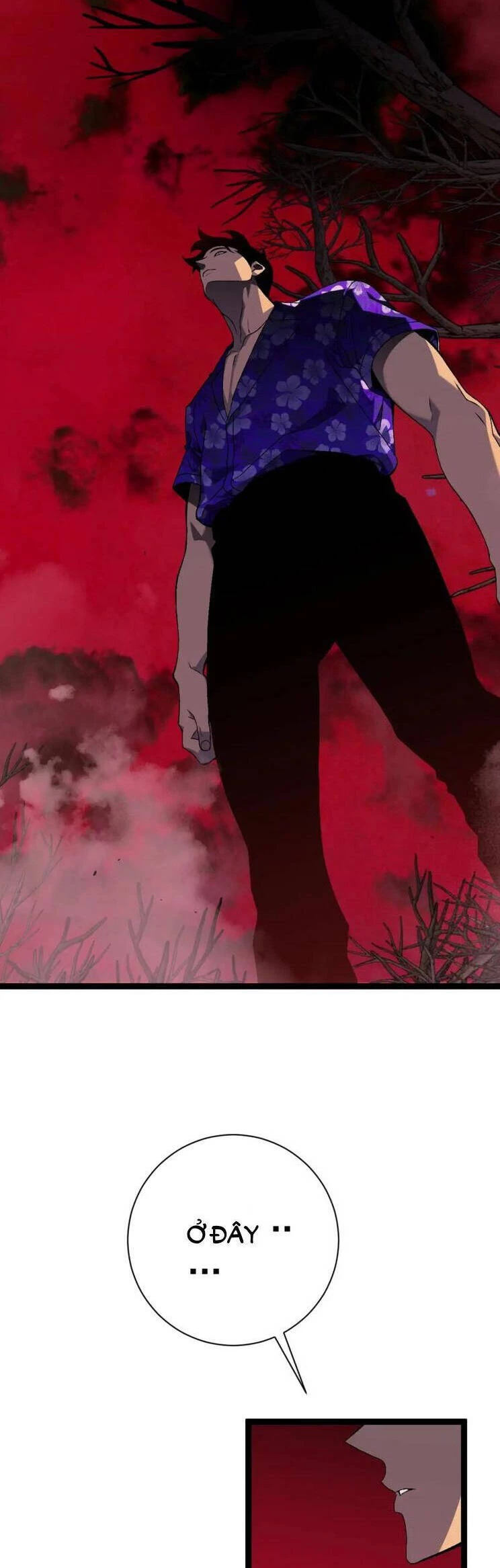 Thiên Phú Của Ngươi, Giờ Là Của Ta Chapter 64 - Trang 4