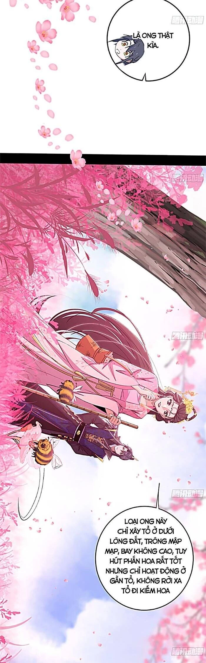 Ta Là Tà Đế Chapter 425 - Next Chapter 426