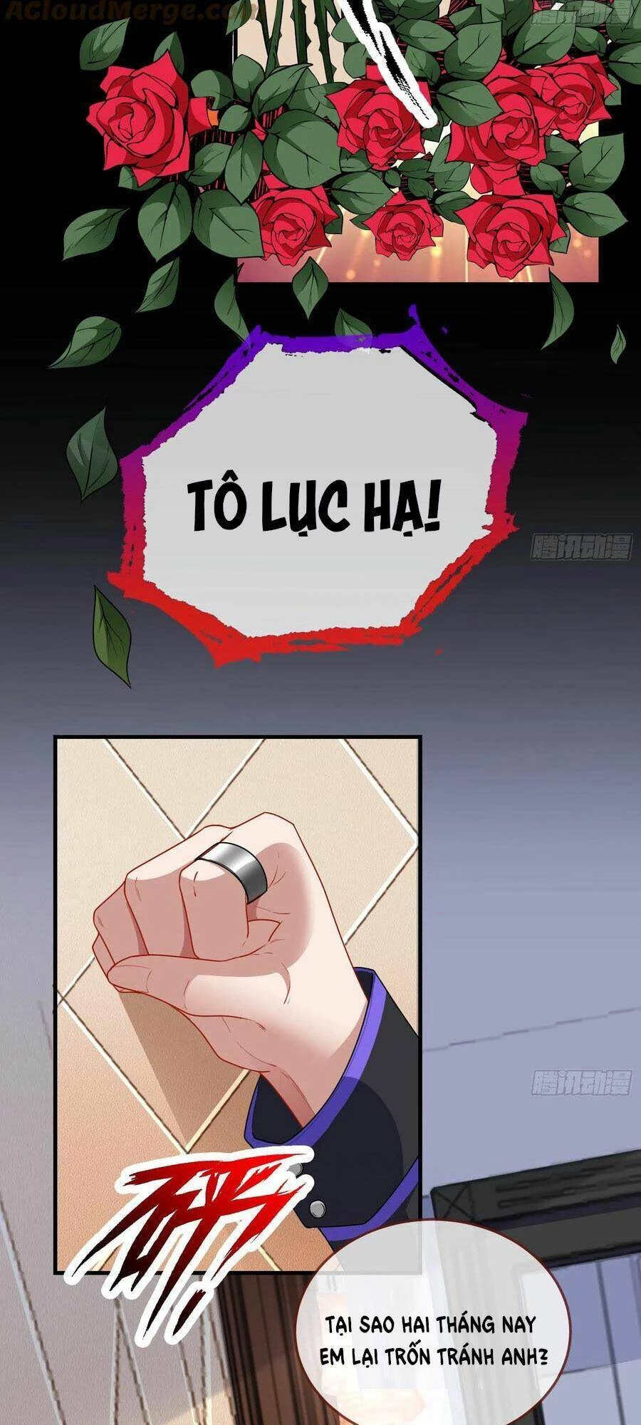 Vạn Tra Triêu Hoàng Chapter 475: Ta không yêu anh - Trang 4