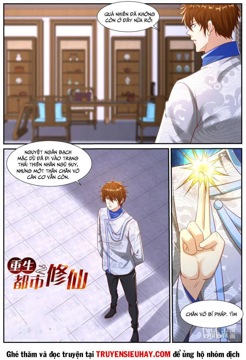 Trọng Sinh Đô Thị Tu Tiên Chapter 944 - Trang 4