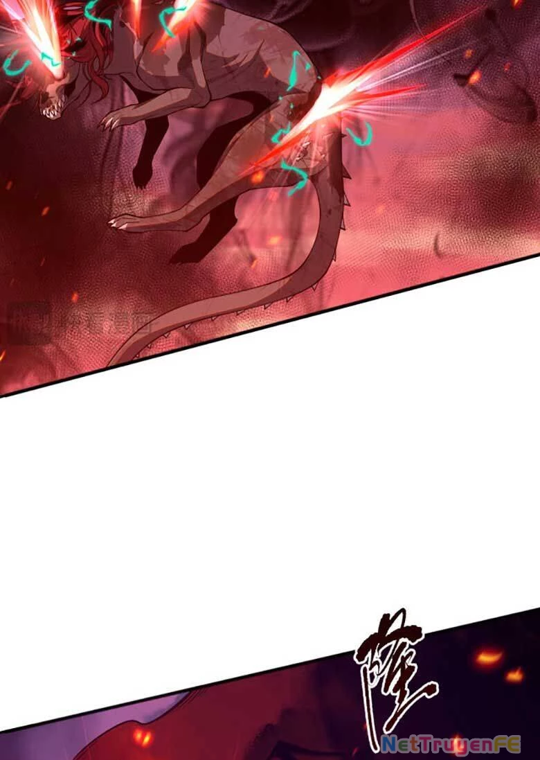 Thảm Họa Tử Linh Sư Chapter 43 - Trang 4