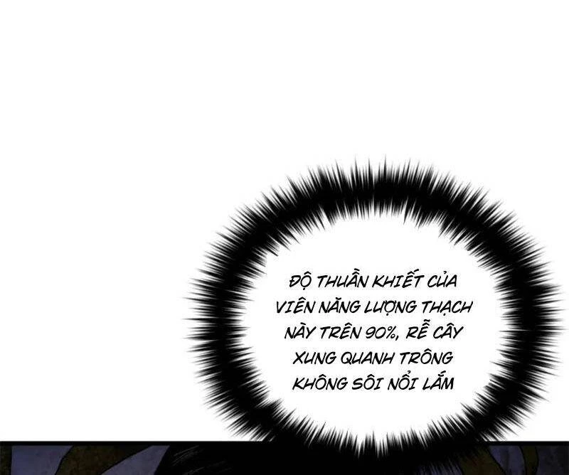 Toàn Cầu Cao Võ Chapter 237 - Trang 4