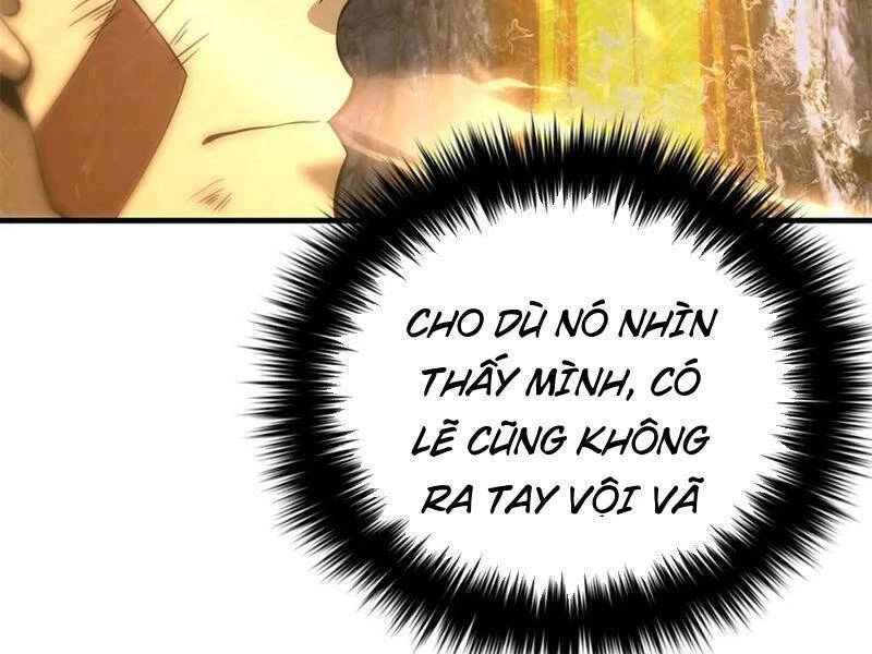 Toàn Cầu Cao Võ Chapter 238 - Trang 4