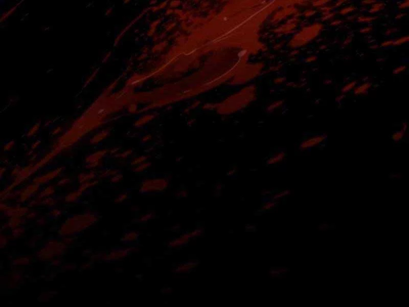 Chiến Binh Hồi Quy Chapter 0 - Trang 4