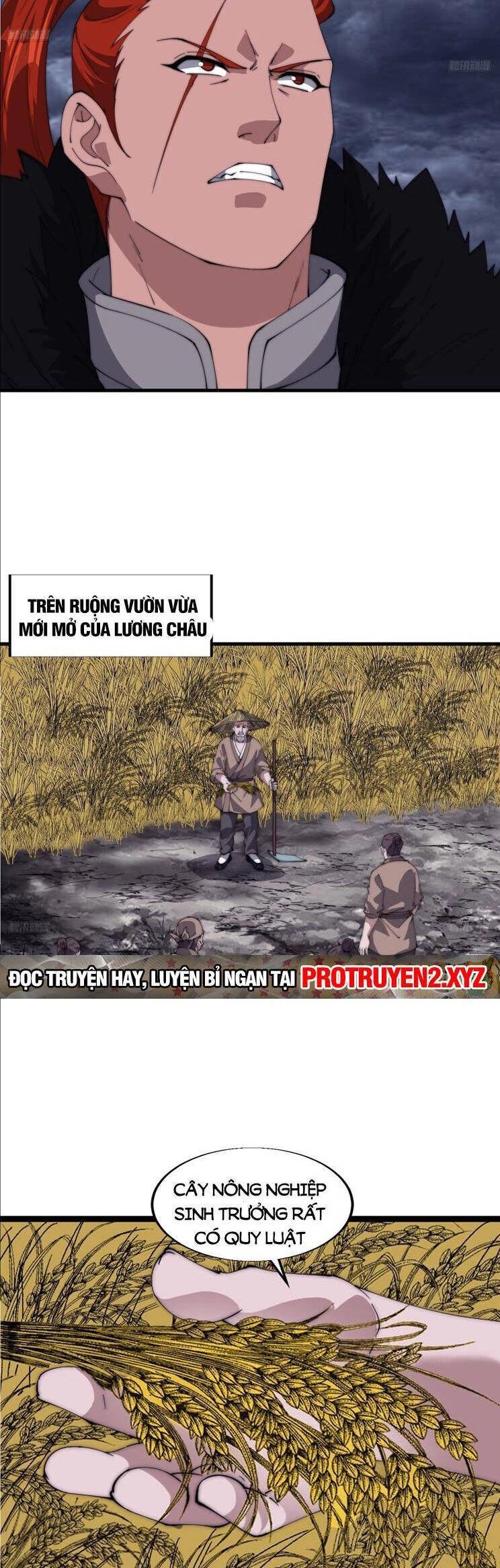 Ta Có Một Sơn Trại Chapter 801 - Trang 4