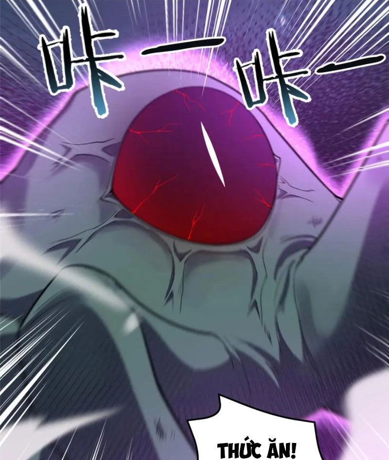 Thần Sủng Tiến Hóa Chapter 271 - Trang 4