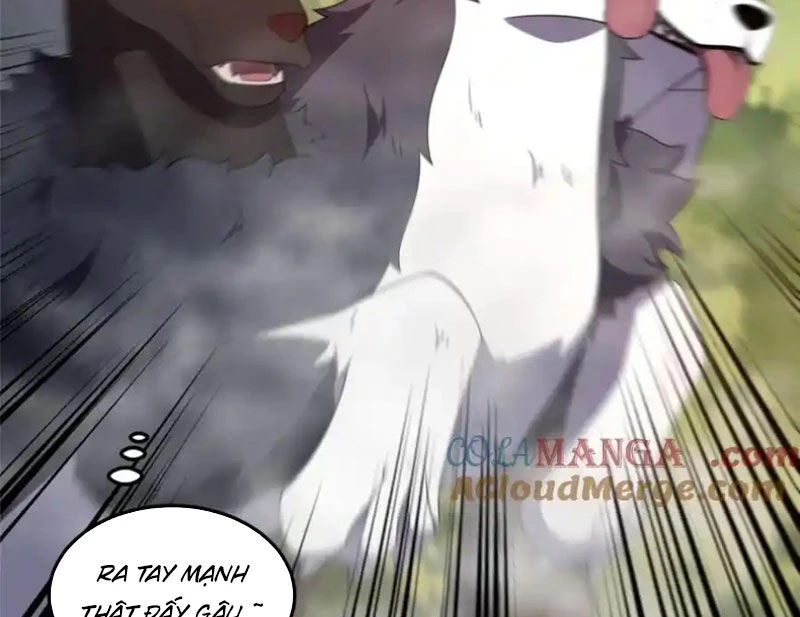 Thần Sủng Tiến Hóa Chapter 280 - Trang 4