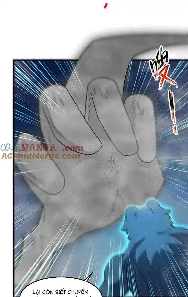 Thần Sủng Tiến Hóa Chapter 281 - Trang 4