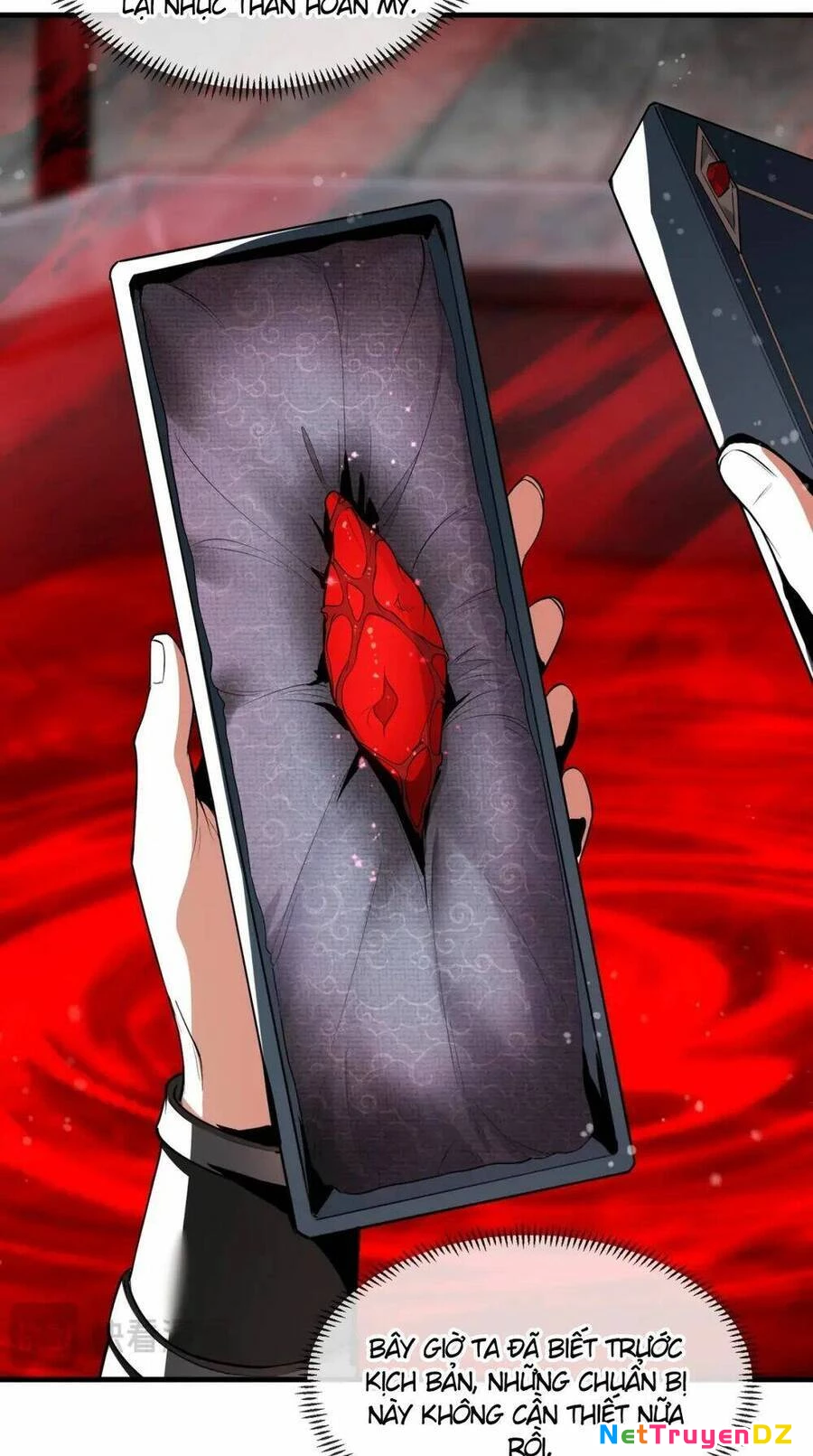 Đại Ái Ma Tôn, Nữ Đồ Đệ Đều Muốn Giết Ta Chapter 4 - Trang 4