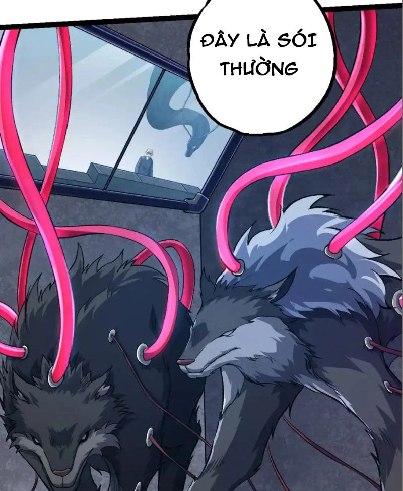 Chuyển Sinh Thành Liễu Đột Biến Chapter 177 - Trang 4