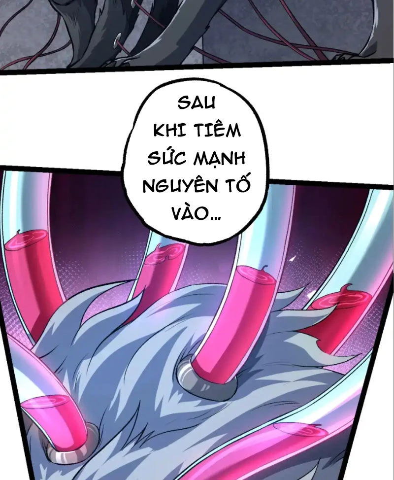 Chuyển Sinh Thành Liễu Đột Biến Chapter 177 - Trang 4