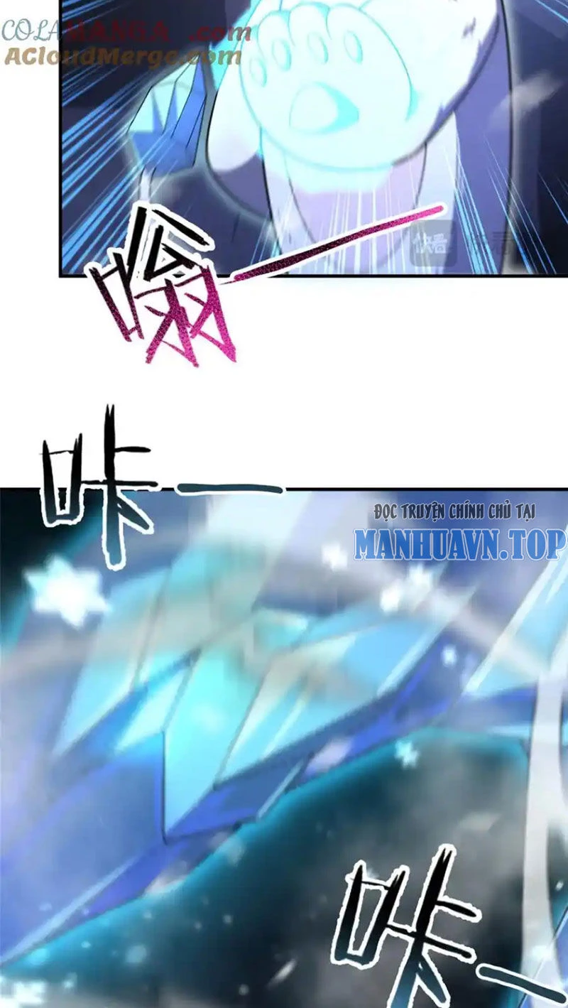 Thần Sủng Tiến Hóa Chapter 284 - Trang 4