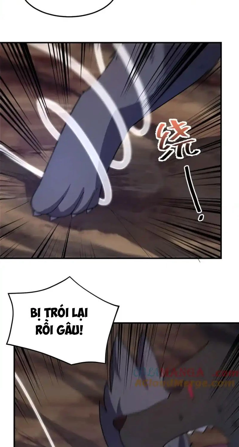 Thần Sủng Tiến Hóa Chapter 284 - Trang 4