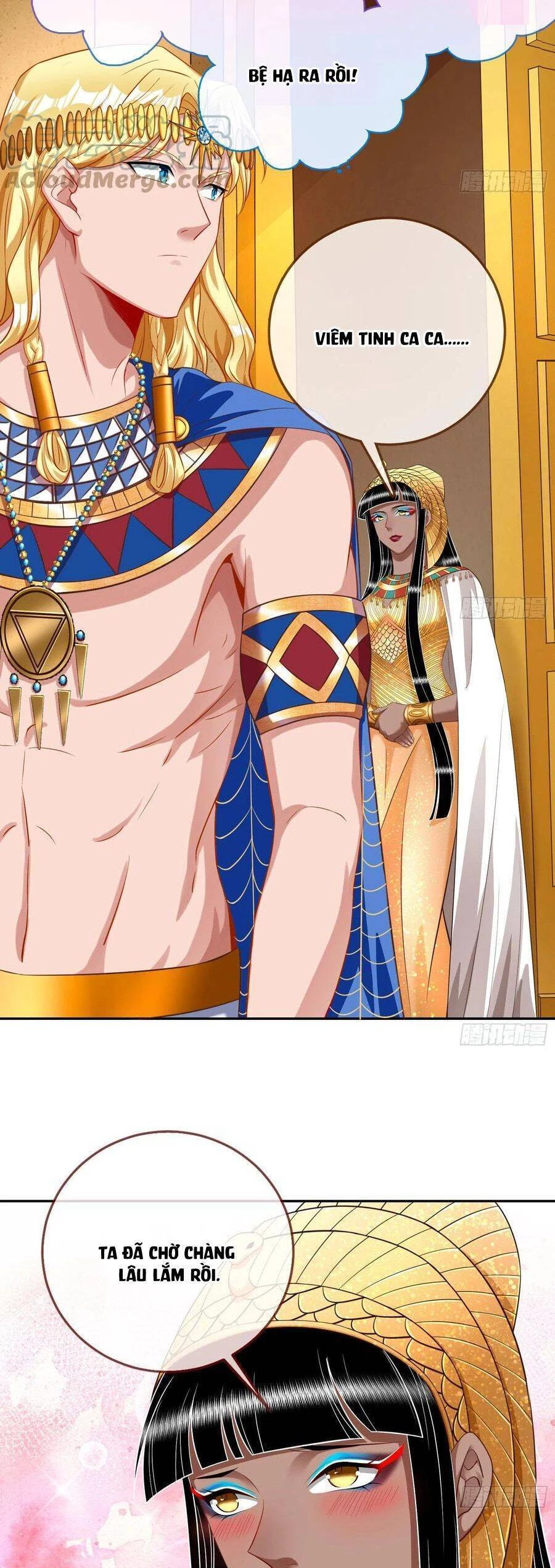 Vạn Tra Triêu Hoàng Chapter 518 - Trang 4