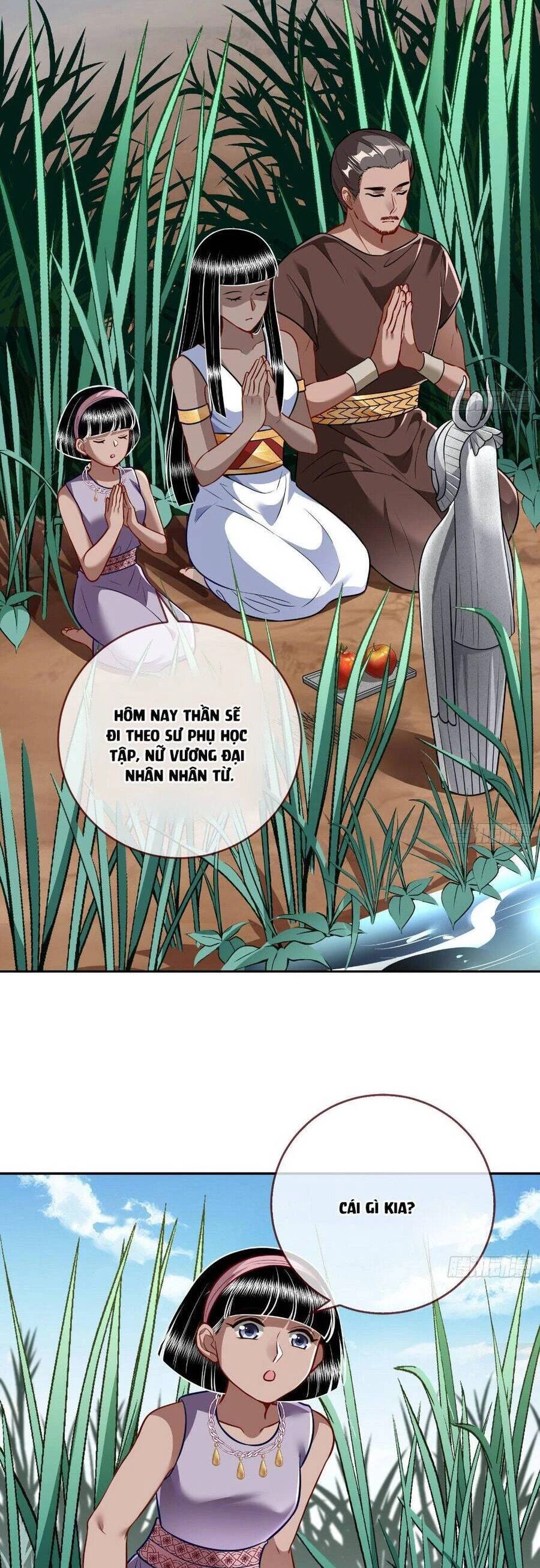 Vạn Tra Triêu Hoàng Chapter 521 - Trang 4